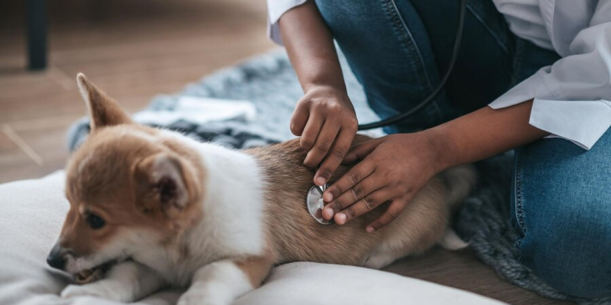 Benefits of Fenbendazole Tablets for Pets