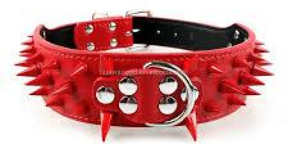 Experience Quality and Elegance with China Dog Collar by tallfly