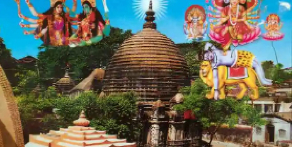 Famous Astrologer in Jaipur