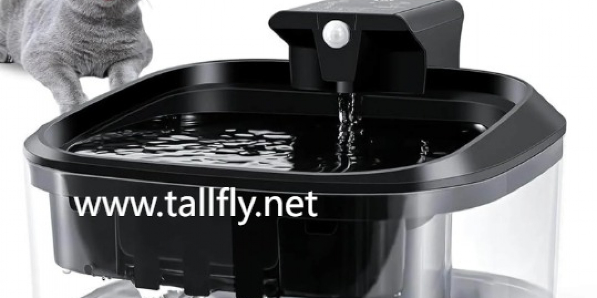 Sustainable Fountain Materials for Eco-Conscious Pet Owners