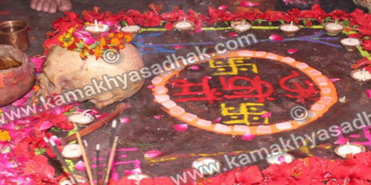 Best Astrologer in India