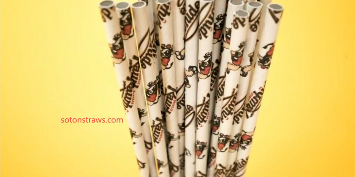 The Clear Path: Soton's Transparent Paper Straws Manufactory