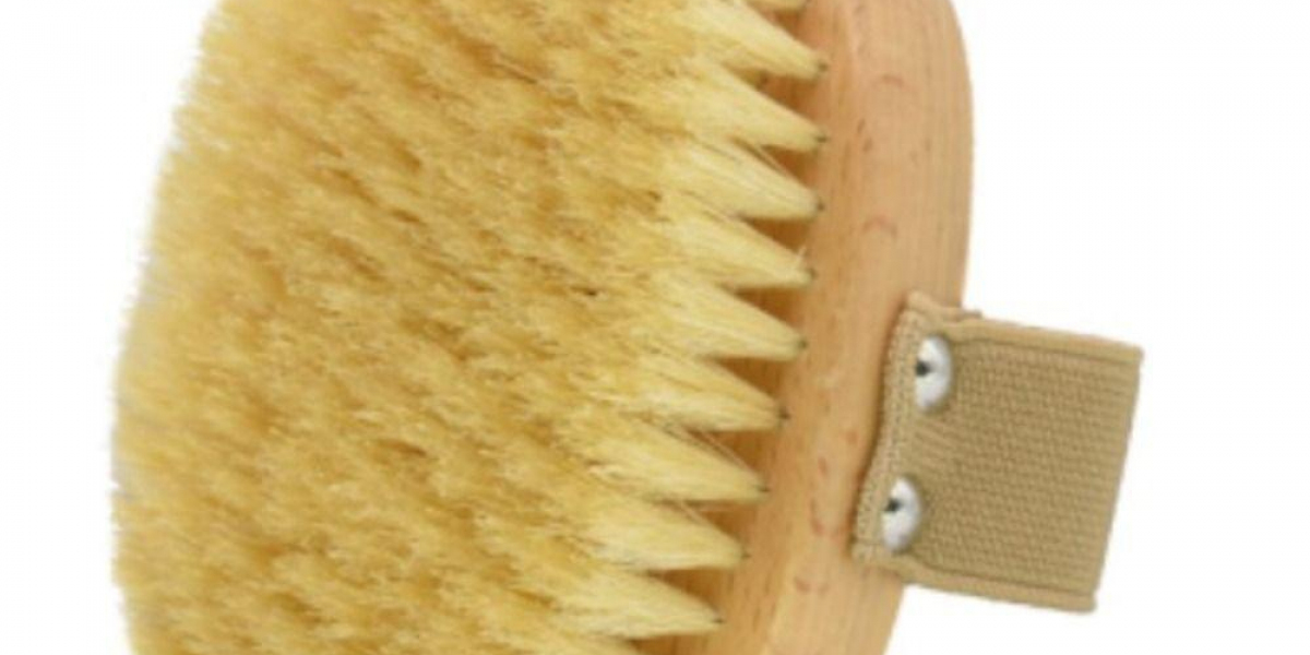 Is Pawtechpet Pet Brush a Grooming Must-Have?