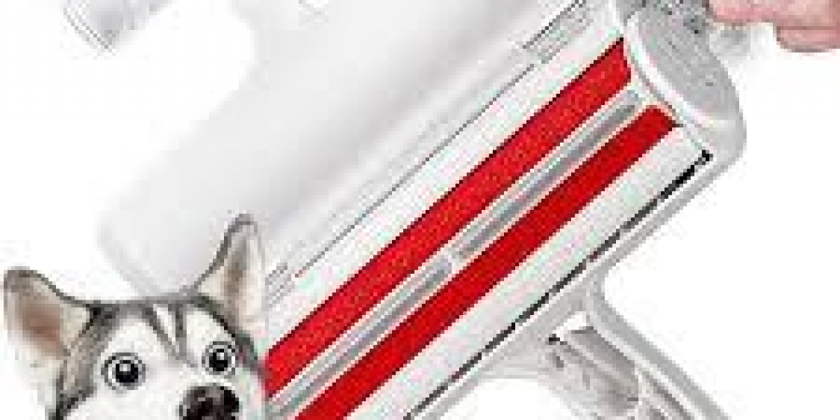 Tallfly Cleaning Essentials: Hair Remover Roller Strategies for Pet-Friendly Homes