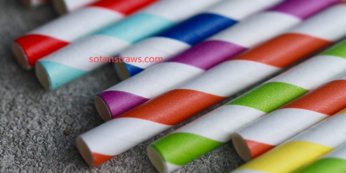 Soton Designs Destiny: Where Paper Straws Manufactory Meets Renewal