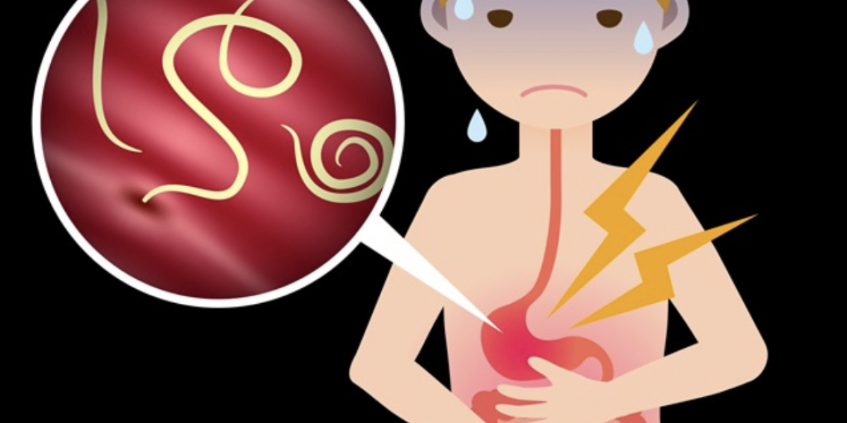 What Are the Symptoms of Parasitic Worm Infections?