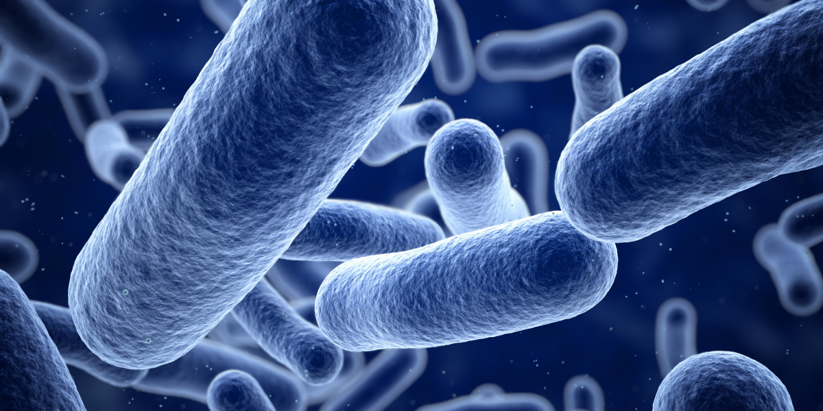 How Do Bacterial Infections Spread?