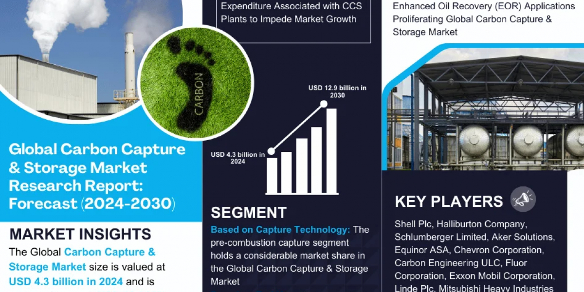 Carbon Capture & Storage Market 2030: Executive Summary, Key Trends & Future Outlook