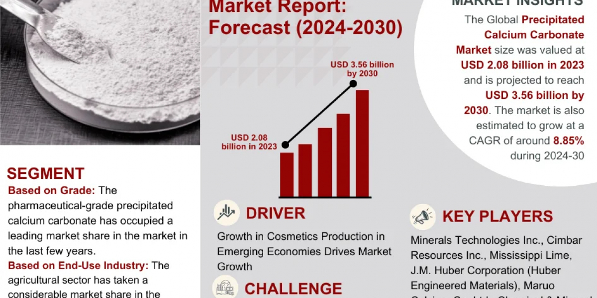 Precipitated Calcium Carbonate Market 2030: Executive Summary, Key Trends & Future Outlook
