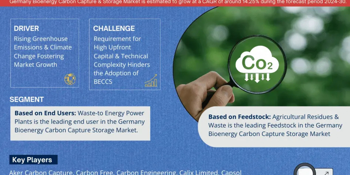 Germany Bioenergy Carbon Capture & Storage Market 2030: Executive Summary, Key Trends & Future Outlook