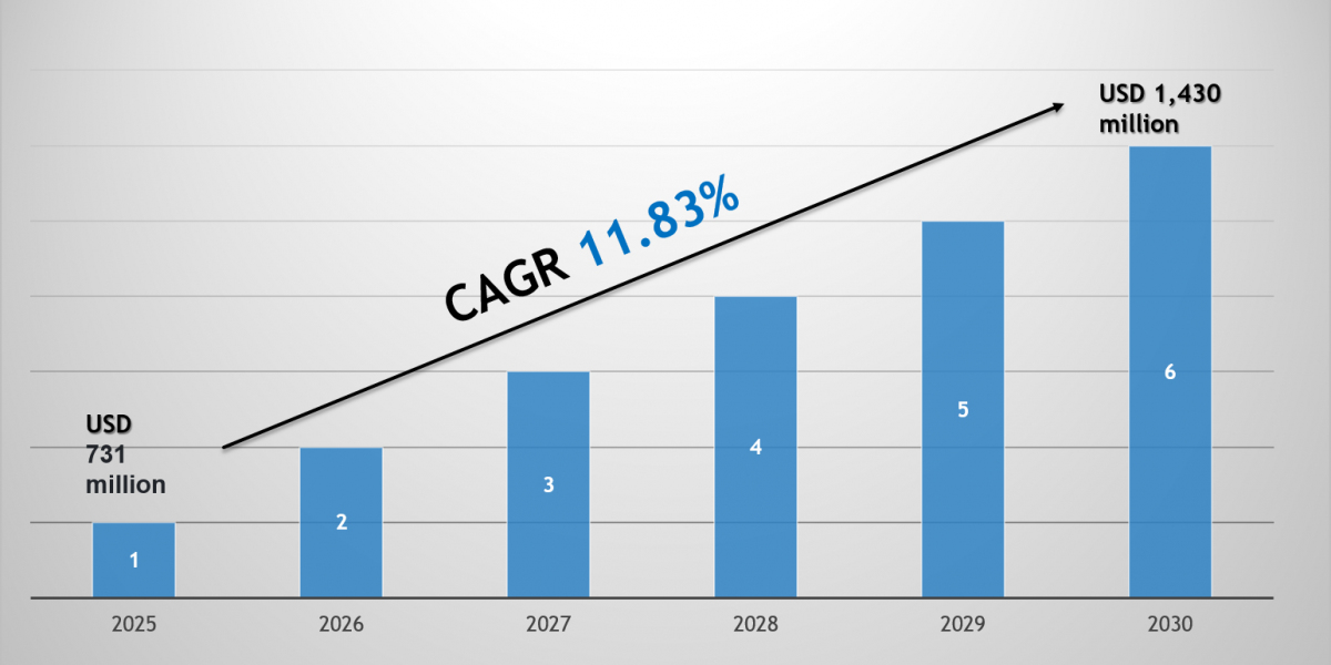 Saudi Arabia Liquefied Natural Gas (LNG) Market Growth Trends, Volume Insights & Outlook 2030