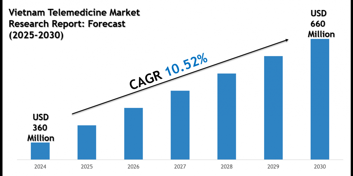 Vietnam Telemedicine Market Outlook 2030: Leading Companies & Growth Insights