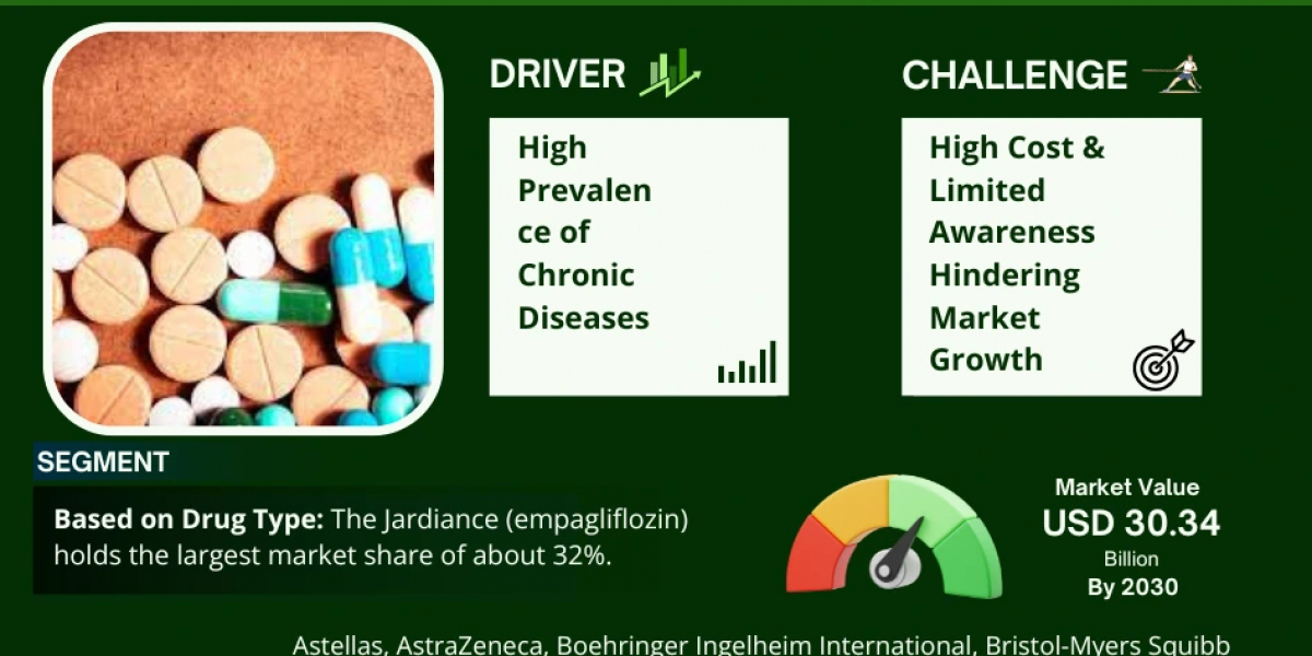 SGLT2 Inhibitors Market 2030: Executive Summary, Key Trends & Future Outlook