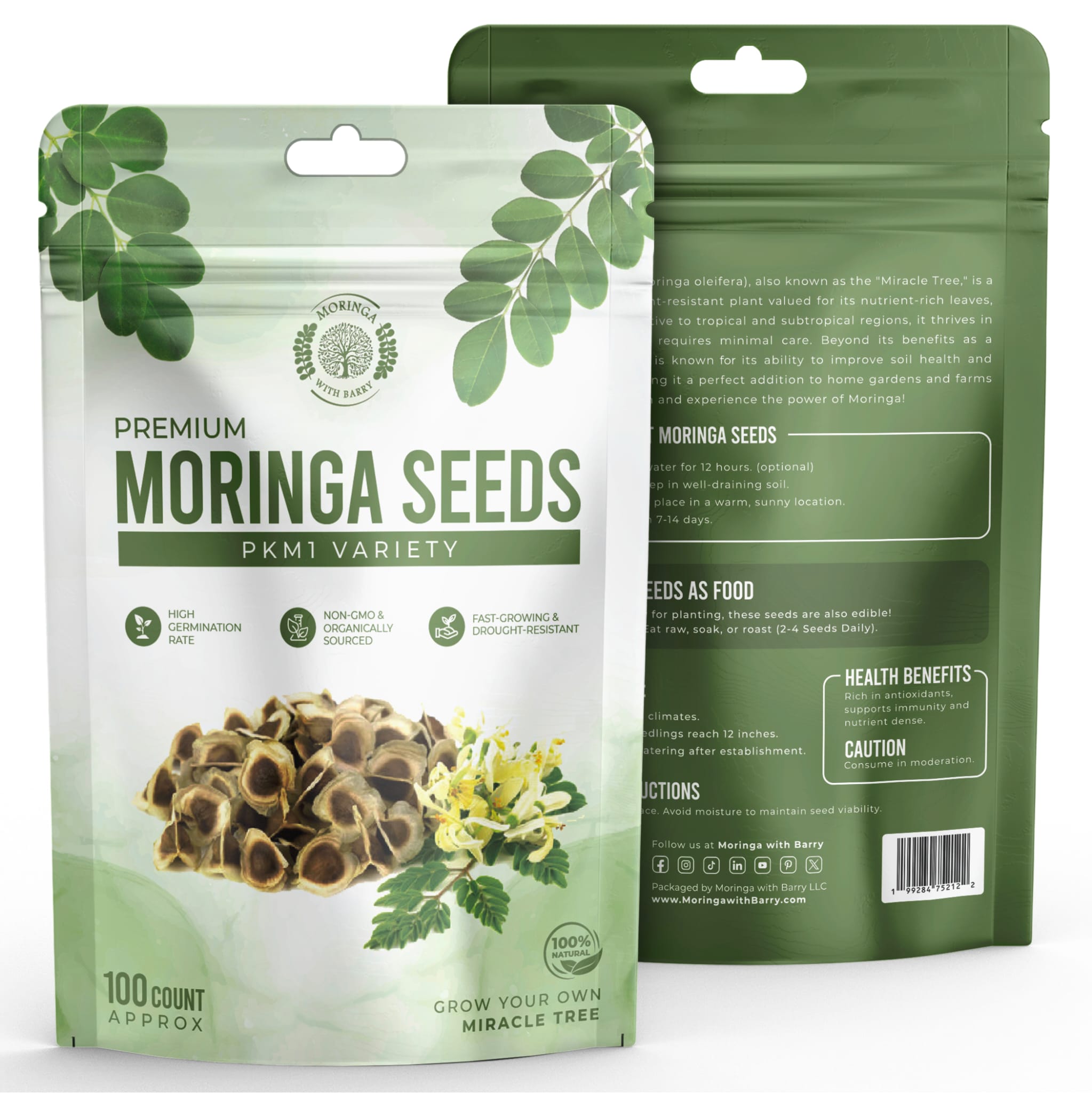 Buy Moringa Seeds PKM1 for Natural Wellness & Planting Growing