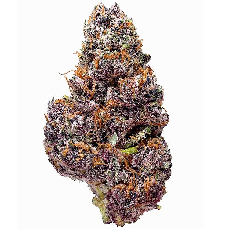 Black Cherry Soda Seeds | Sweet Cherry & Soda Flavor | Gelato Seeds